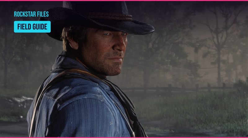 Red Dead Redemption 2 screenshot