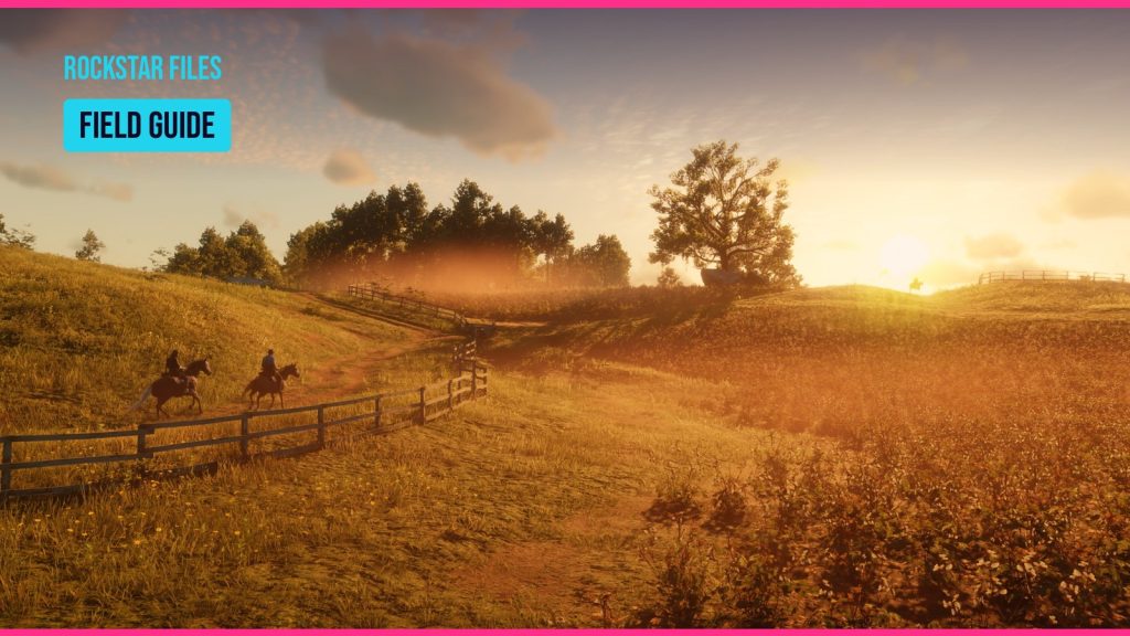 Red Dead Redemption 2 screenshot