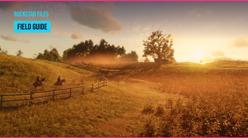 Red Dead Redemption 2 screenshot