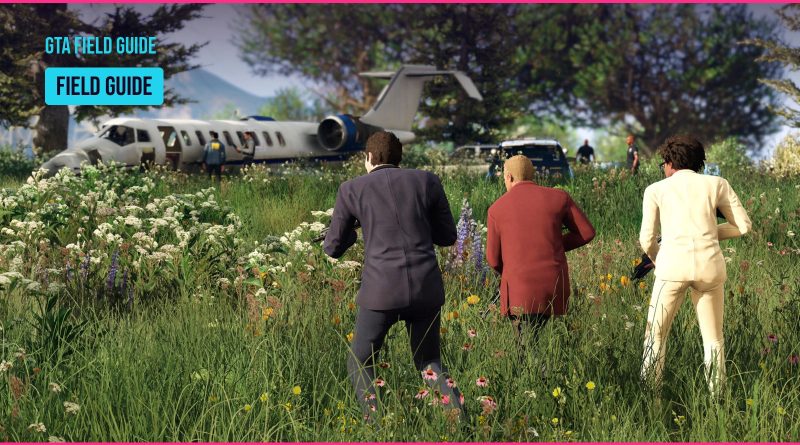 Grand Theft Auto V Enhanced screenshot