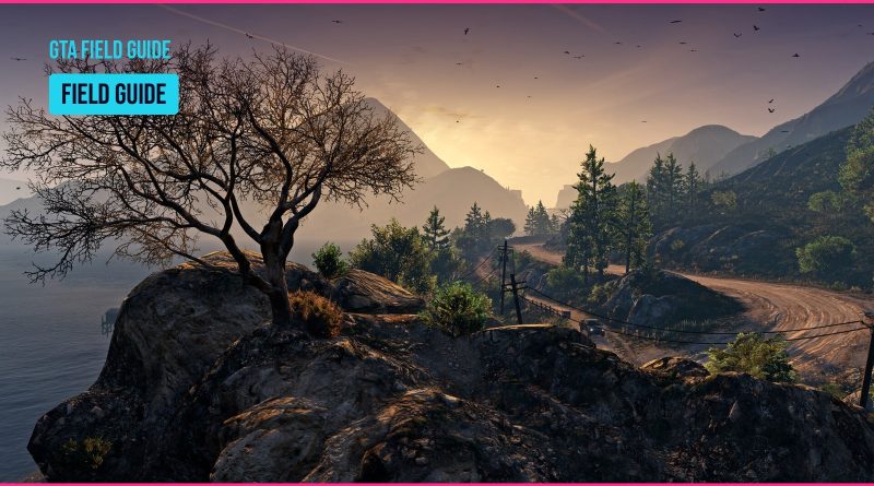 Grand Theft Auto V Enhanced screenshot