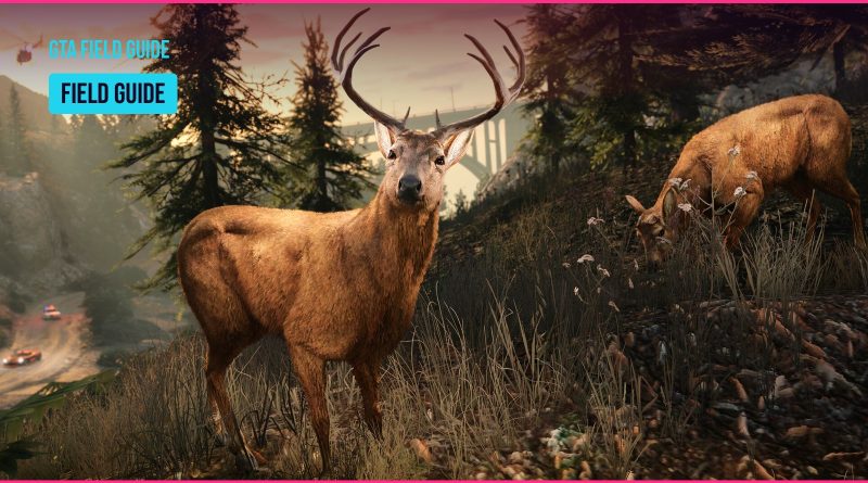 Grand Theft Auto V Enhanced screenshot